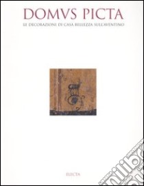 Domus picta. Le decorazioni di Casa Bellezza sull'Aventino. Ediz. illustrata libro di Boldrighini Francesca