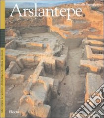 Alle origini del potere. Arslantepe, la collina dei leoni. Catalogo della mostra (Roma, 13 ottobre 2004-9 gennaio 2005). Ediz. italiana e turca libro di Frangipane M. (cur.)