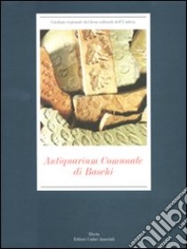 Antiquarium comunale di Baschi. Ediz. illustrata libro di Bergamini M. (cur.)