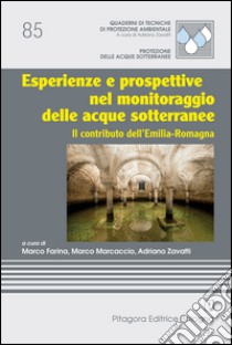 Esperienze e prospettive nel monitoraggio delle acque sotterranee. Il contibuto dell'Emilia Romagna libro