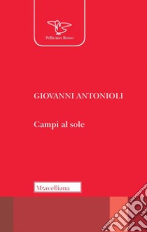 Campi al sole libro di Antonioli Giovanni