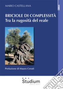 Briciole di complessità. Tra la rugosità del reale libro di Castellana Mario