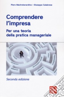 Comprendere l'impresa. Per una teoria della pratica manageriale libro di Mastroberardino Piero; Calabrese Giuseppe