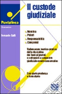 Il custode giudiziale. Nomina, poteri, doveri, responsabilità libro di Galli Fernando