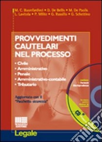 Provvedimenti cautelari nel processo libro