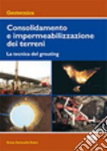 Consolidamento e impermeabilizzazione dei terreni. La tecnica del grouting libro di Bosco Bruno Bernardo