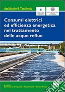 Consumi elettrici ed efficienza energetica del trattamento delle acque reflue libro di Campanelli Massimiliano; Foladori Paola; Vaccari Mentore