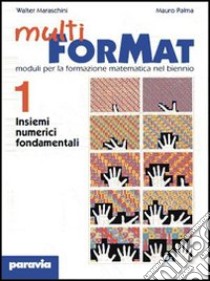 Multi ForMat. Moduli per la formazione matematica. Per il biennio. Vol. 1 libro di Maraschini Walter, Palma Mauro