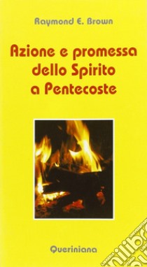 Azione e promessa dello Spirito a Pentecoste. Riflessioni sulle letture liturgiche tra Pasqua e Pentecoste tratte dagli Atti degli Apostoli e dal vangelo secondo Giovanni libro di Brown Raymond E.