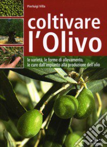 Coltivare l'olivo. Dall'impianto alla produzione dell'olio libro di Villa Pierluigi