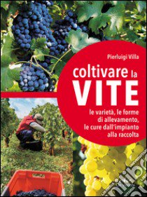 Coltivare la vite. Le varietà, le forme di allevamento, le cure dall'impianto alla raccolta libro di Villa Pierluigi