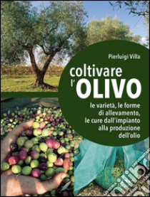 Coltivare l'olivo. Dall'impianto alla produzione dell'olio libro di Villa Pierluigi