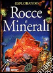 Rocce e minerali libro