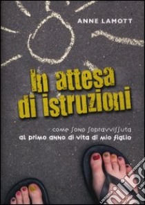 In attesa di istruzioni. Come sono sopravvissuta al primo anno di vita di mio figlio libro di Lamott Anne