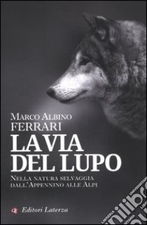 La via del lupo. Nella natura selvaggia dall'Appennino alle Alpi libro di Ferrari Marco Albino