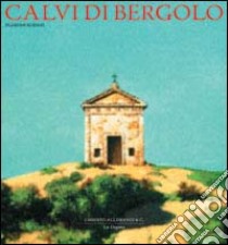 Calvi di Bergolo. Ediz. illustrata libro di Rodari Florian