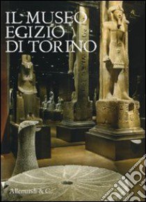 Il museo egizio di Torino libro di Vassilika Eleni - Dell'Aquila Pino