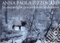 Anna Paola Pizzocaro. In meraviglia percorrendo le distanze. Ediz. italiana e inglese libro di Falzone S. (cur.)