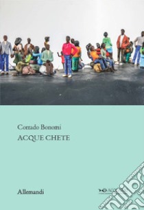 Corrado Bonomi. Acque chete. Ediz. illustrata libro di Fiz A. (cur.)