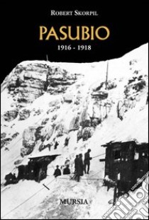 Pasubio 1916-1918 libro di Skorpil Robert