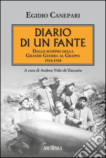 Diario di un fante. Dallo scoppio della grande guerra a Caporetto. 1914-1918 libro di Canepari Egidio; Vido de' Zaccaria A. (cur.)