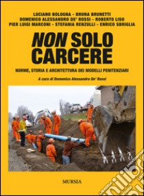 Non solo carcere. Norme, storia e architettura dei modelli penitenziari libro di De Rossi D. A. (cur.)