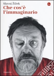 Che cos'è l'immaginario libro di Zizek Slavoj; Senaldi M. (cur.)