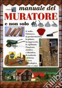 Manuale del muratore e non solo libro di Pedrotti Walter