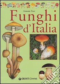 Il libro dei funghi d'Italia libro di Testi Antonio