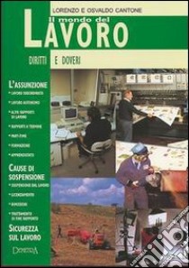 Il mondo del lavoro. Diritti e doveri libro di Cantone Lorenzo; Cantone Osvaldo