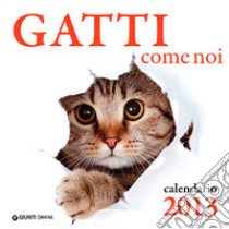 Gatti come noi. Calendario 2013 libro