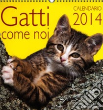 Gatti come noi. Calendario 2014 libro