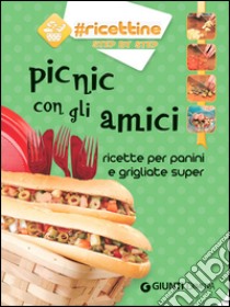 Picnic con gli amici. Ricette per panini e grigliate super libro