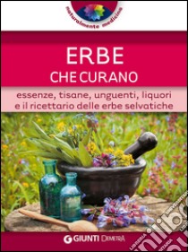 Erbe che curano. Essenze, tisane, unguenti, liquori e il ricettario delle erbe selvatiche libro