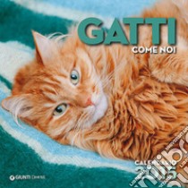 Gatti come noi. Calendario 2015 libro