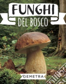 Funghi del bosco libro