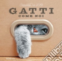 Gatti come noi. Calendario 2019 libro