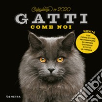 Gatti come noi. Calendario 2020 libro