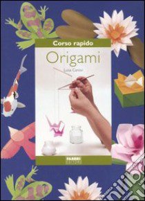 Corso rapido. Origami libro di Canovi Luisa