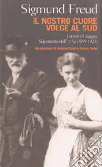 Il nostro cuore volge al Sud. Lettere di viaggio. Soprattutto dall'Italia (1895-1923) libro di Freud Sigmund; Tögel C. (cur.)