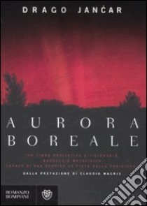 Aurora boreale libro di Jancar Drago