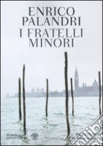 I fratelli minori libro di Palandri Enrico