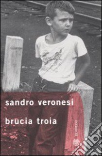 Brucia Troia libro di Veronesi Sandro