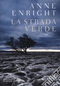 La strada verde libro di Enright Anne