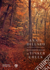 Pellegrinaggio al Tinker Creek libro di Dillard Annie