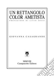 Un rettangolo color ametista libro di Casagrande Giovanna