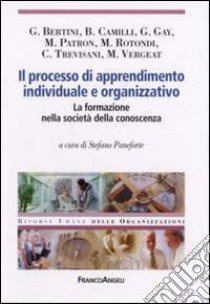 Il processo di apprendimento individuale e organizzativo. La formazione nella società della conoscenza libro di Paneforte S. (cur.)