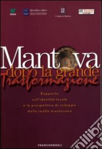 Mantova dopo la grande trasformazione. Rapporto sull'identità locale e la prospettiva di sviluppo della realtà mantovana libro di CENSIS (cur.)