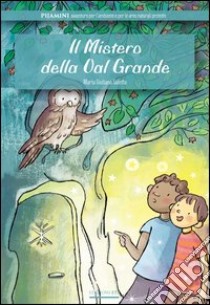 Il mistero della Val Grande libro di Saletta M. Giuliana