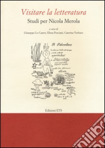 Visitare la letteratura. Studi per Nicola Merola libro di Lo Castro G. (cur.); Porciani E. (cur.); Verbaro C. (cur.)